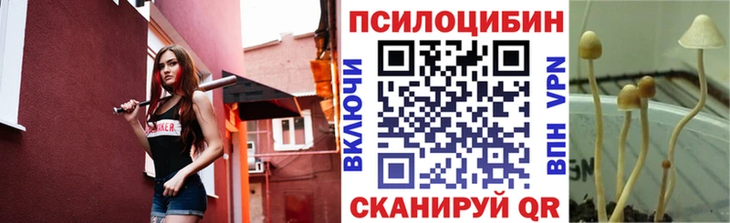 MEGA tor  Инза  Псилоцибиновые грибы GOLDEN TEACHER 
